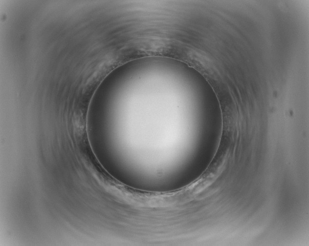 X0000076090040200609291237