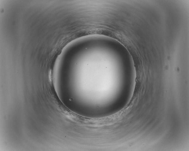 X0000076090041200609291237