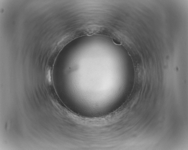 X0000076090042200609291237