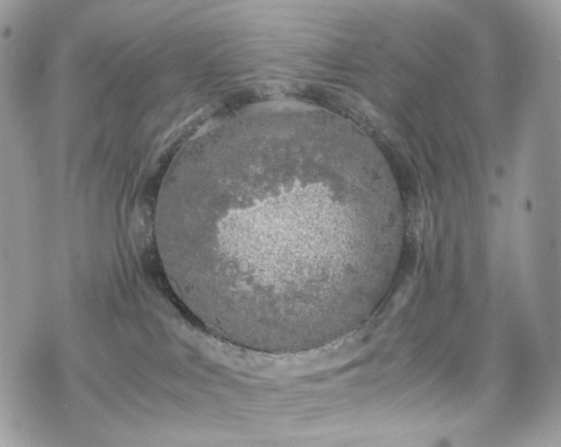 X0000076090043200609291237