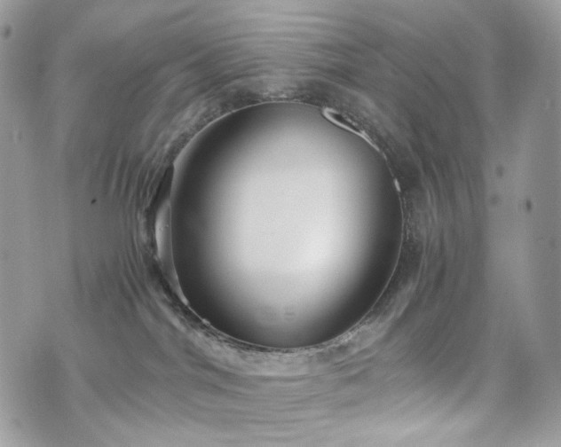 X0000076090044200609291237