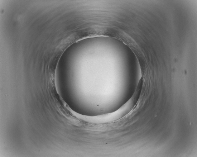 X0000076090045200609291237