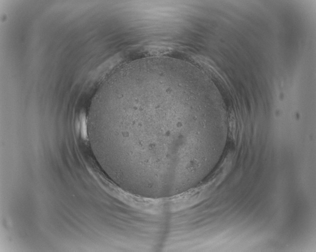 X0000076090046200609291237