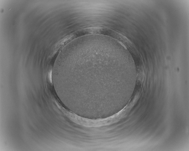 X0000076090047200609291237