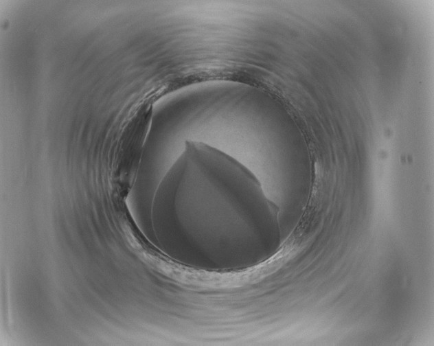 X0000076090048200609291237