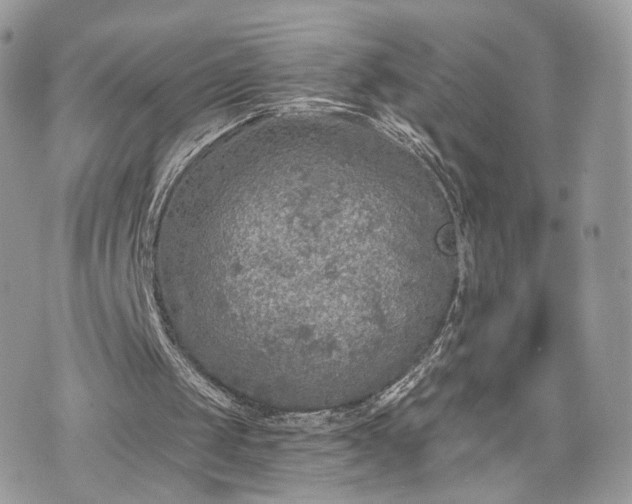 X0000076090049200609291236