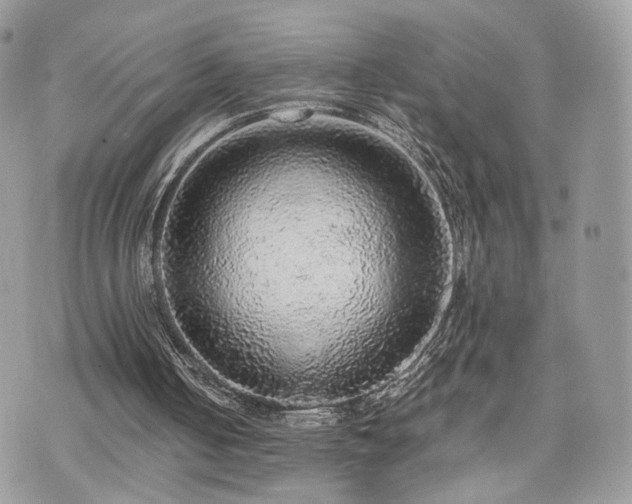 X0000076090050200609291236