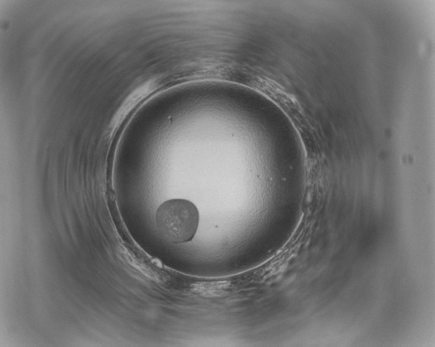 X0000076090051200609291237