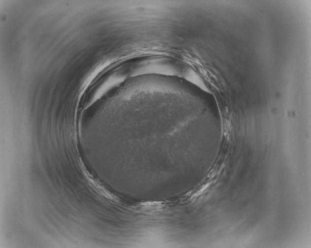 X0000076090052200609291237