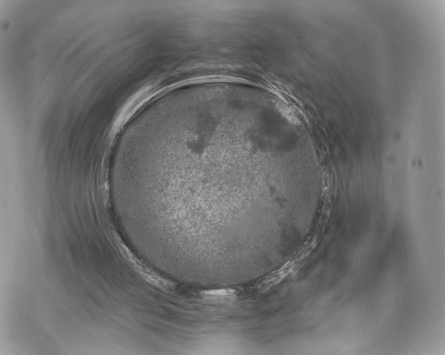 X0000076090053200609291237