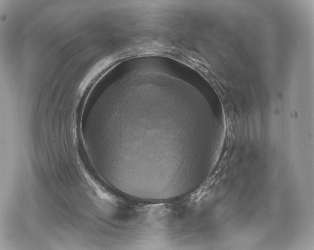 X0000076090054200609291237