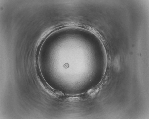 X0000076090055200609291237