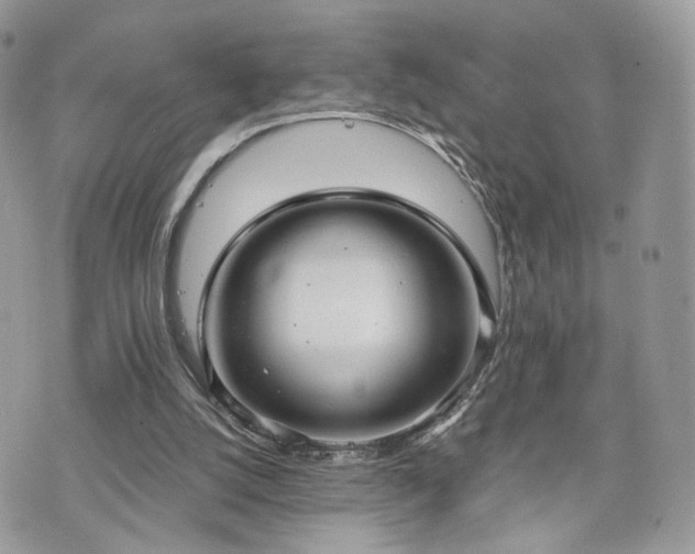 X0000076090056200609291237