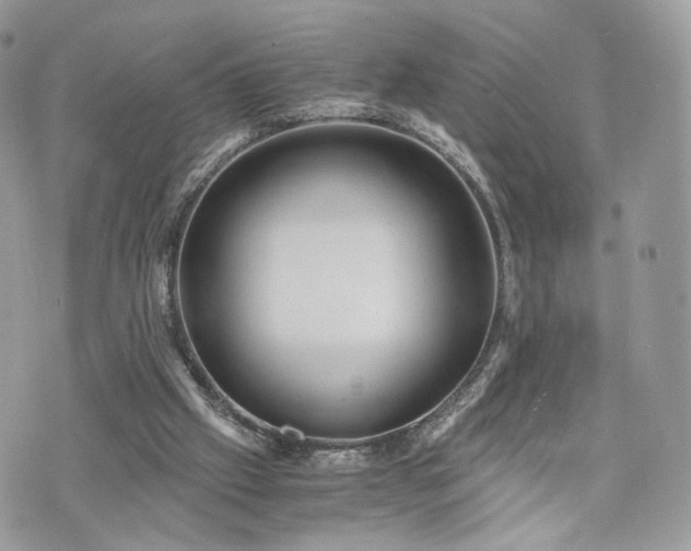 X0000076090057200609291237