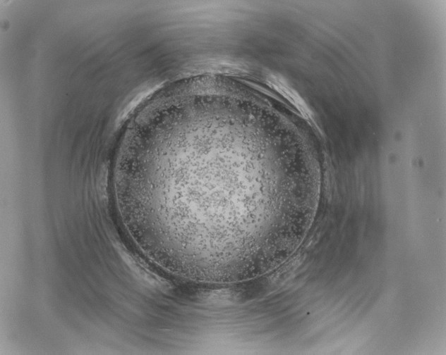 X0000076090058200609291237