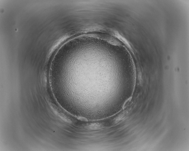 X0000076090059200609291237