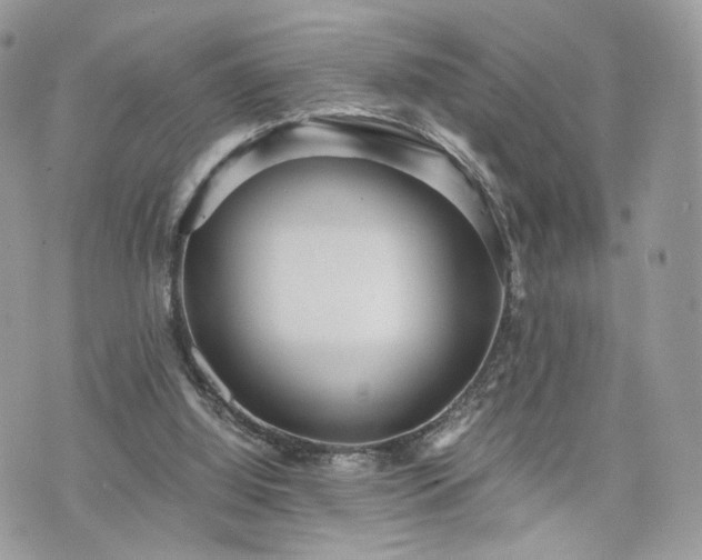 X0000076090060200609291237