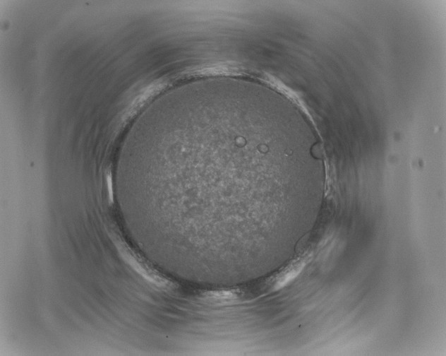 X0000076090061200609291237