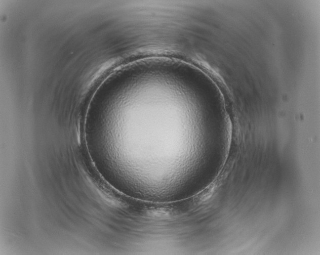 X0000076090062200609291237