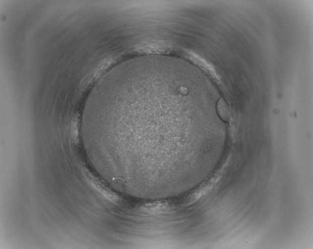 X0000076090065200609291237