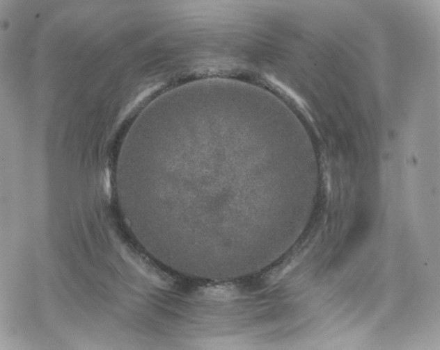 X0000076090067200609291237