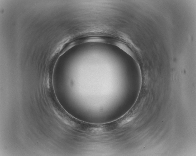 X0000076090068200609291237