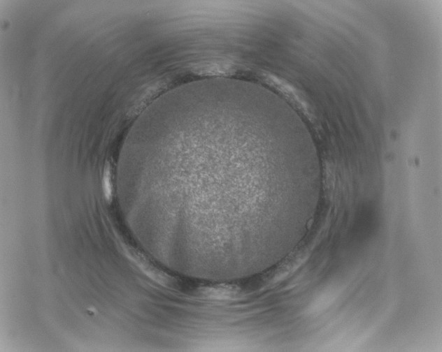 X0000076090069200609291237