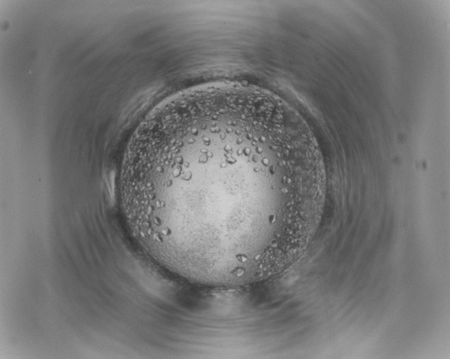 X0000076090070200609291237