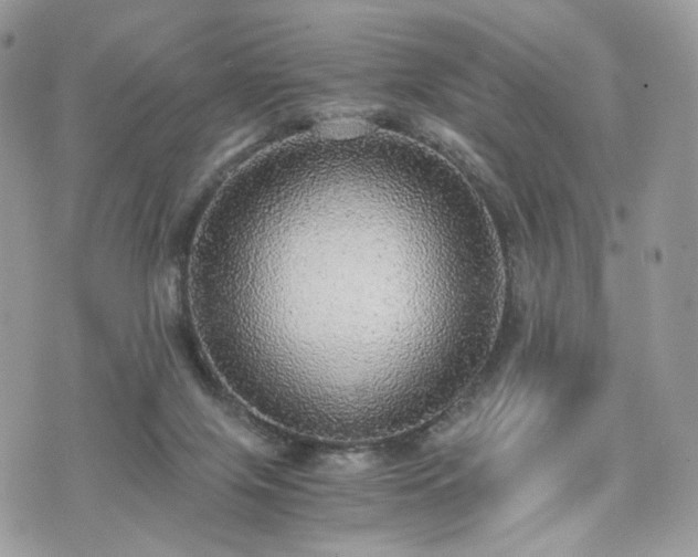 X0000076090071200609291237