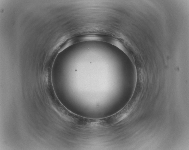 X0000076090072200609291237