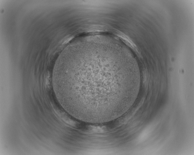 X0000076090073200609291237