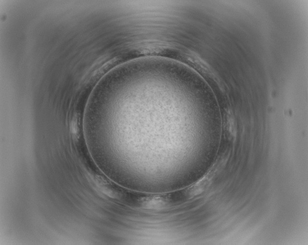 X0000076090074200609291237