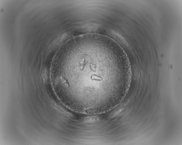 X0000076090077200609291237