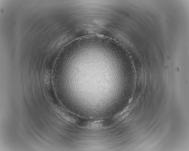 X0000076090078200609291237