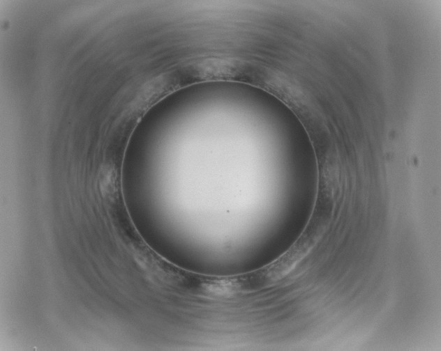 X0000076090079200609291237