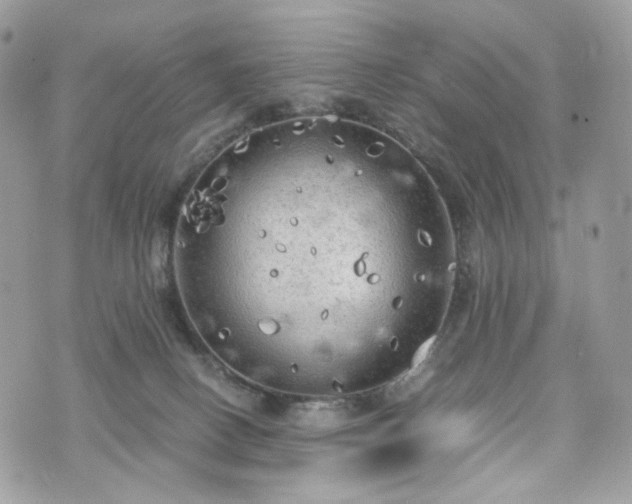 X0000076090082200609291237