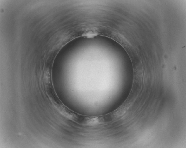 X0000076090083200609291237