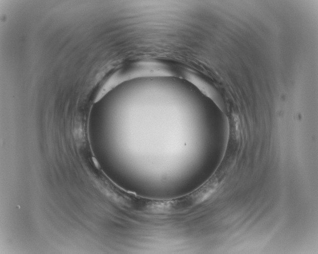 X0000076090084200609291237