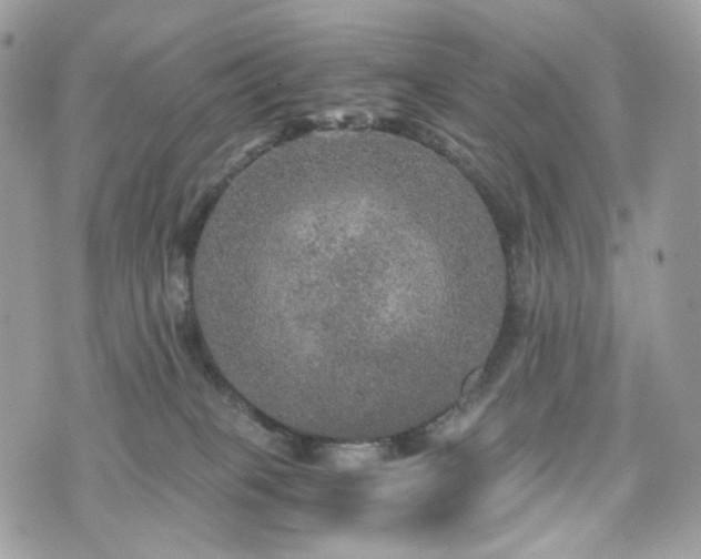 X0000076090085200609291237