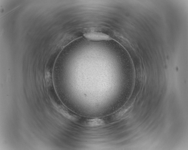 X0000076090087200609291237