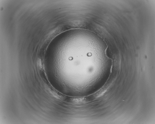 X0000076090089200609291237