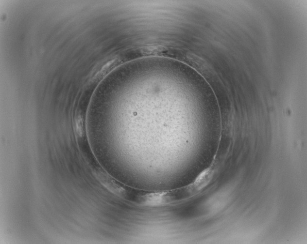 X0000076090090200609291237