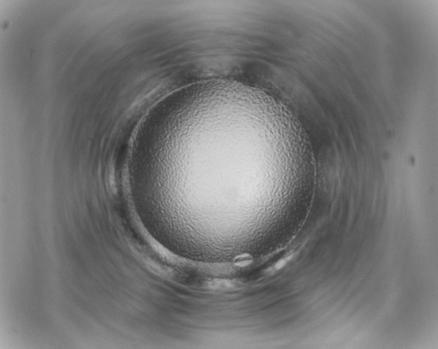 X0000076090091200609291237