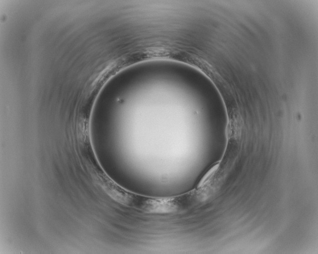 X0000076090093200609291237