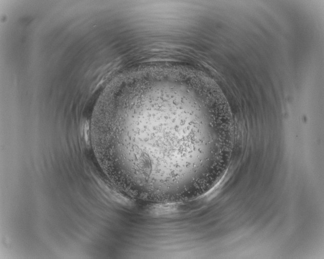 X0000076090094200609291237