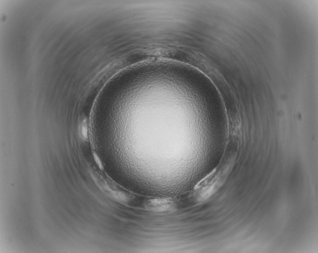 X0000076090095200609291237