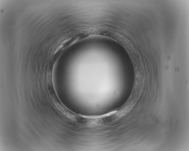 X0000076090096200609291237