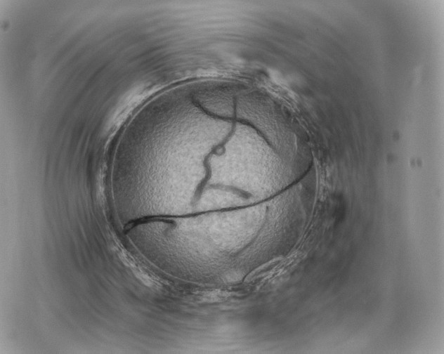 X0000076090098200609291236