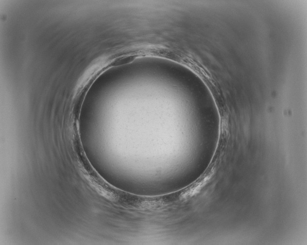 X0000076090101200609291236