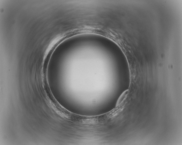 X0000076090102200609291236